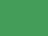 Dámska mikina s kapucňou - kelly green