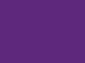 Vesta Fluo Executive - purple