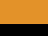 Vesta Fluo Executive - fluo orange/black