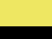 Vesta Fluo Executive - fluo yellow/black