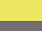 Vesta Fluo Executive - fluo yellow/grey