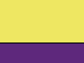 Vesta Fluo Executive - fluo yellow/purple