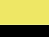 EOS - Vysoce viditeľná bunda Parka - yellow/black
